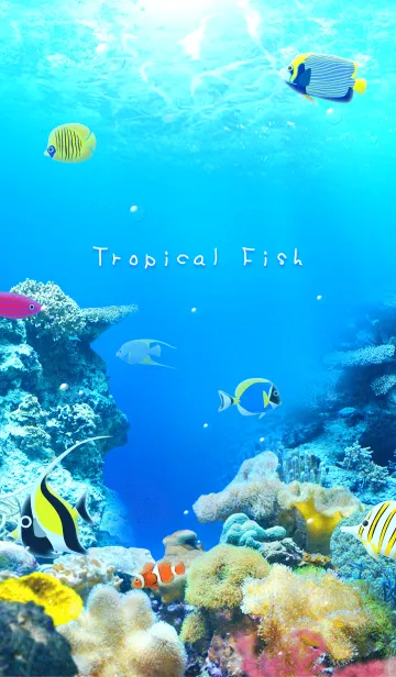 [LINE着せ替え] The Sea of Tropical Fishの画像1
