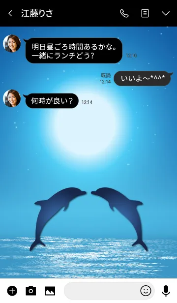 [LINE着せ替え] Moonlight Dolphin 2.の画像3