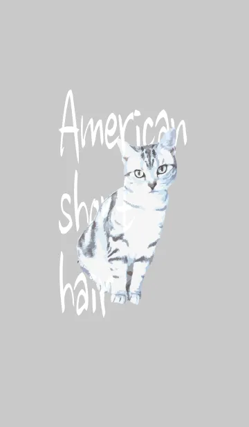 [LINE着せ替え] アメリカンショートヘアー #logoの画像1