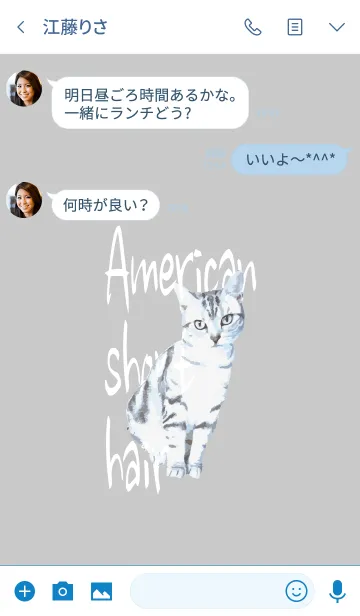 [LINE着せ替え] アメリカンショートヘアー #logoの画像3