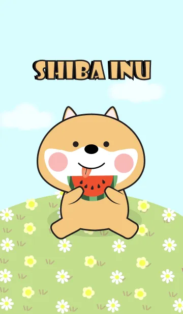 [LINE着せ替え] So Lovely Shiba Inu Theme (jp)の画像1