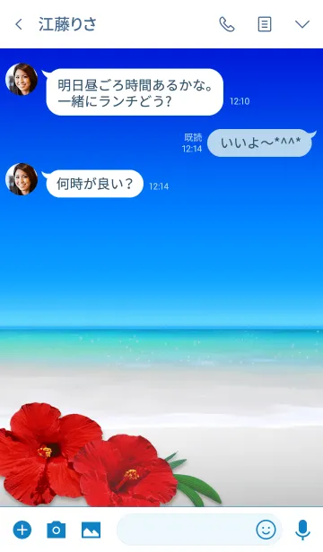 [LINE着せ替え] ALOHA love beach ～ハイビスカスの画像3