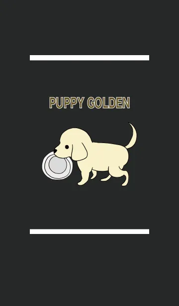 [LINE着せ替え] 黒 ＆ 白 / ゴールデン子犬の着せ替えの画像1