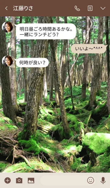 [LINE着せ替え] Moss Forest -MEKYM-の画像3