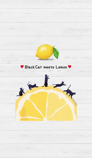 [LINE着せ替え] 黒ネコとレモン2の画像1