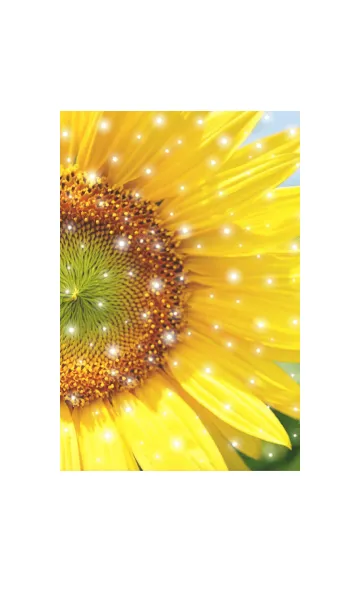 [LINE着せ替え] ＝Sunflower＝ 21の画像1