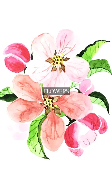 [LINE着せ替え] water color flowers_993の画像1