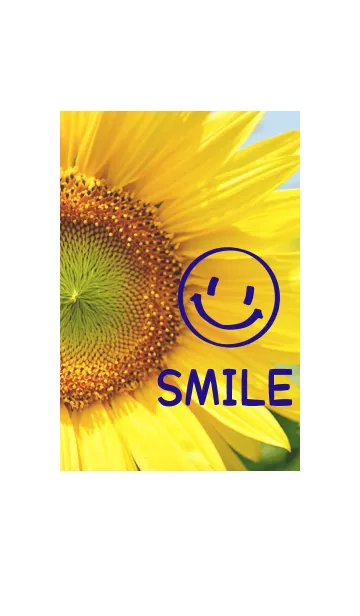 ＝Sunflower＝ 18の着せ替えメイン画像
