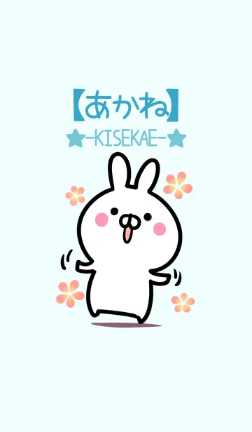 [LINE着せ替え] 【あかね】シンプルかわいいウサギの画像1