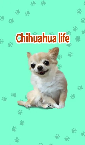 [LINE着せ替え] チワワ的生活 グリーンの画像1