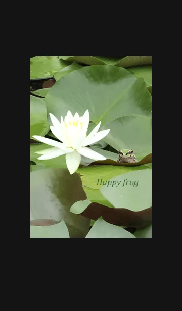 [LINE着せ替え] カエルさんと蓮の花の画像1