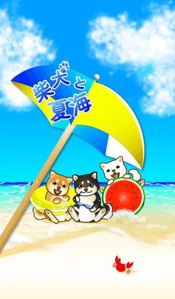 [LINE着せ替え] 柴犬と夏海2（白柴、茶柴、黒柴）の画像1