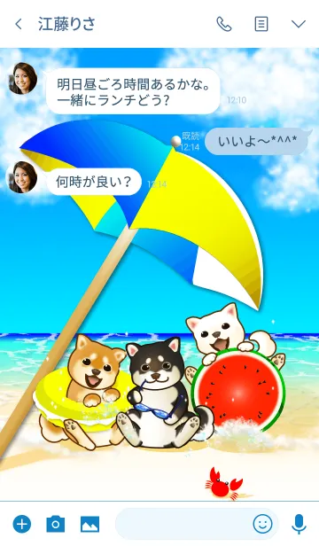 [LINE着せ替え] 柴犬と夏海2（白柴、茶柴、黒柴）の画像3