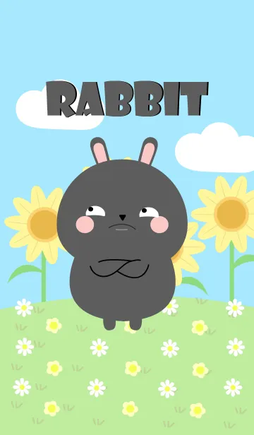 [LINE着せ替え] Happy Black Rabbit DukDik Theme (jp)の画像1