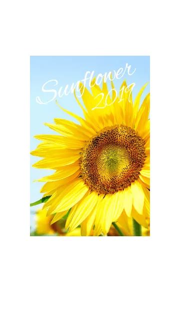 [LINE着せ替え] ～Sunflower～ 1の画像1