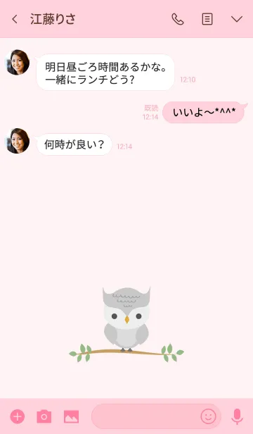 [LINE着せ替え] 超人気のかわいい灰色フクロウの画像3