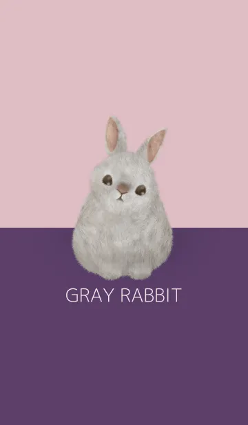 [LINE着せ替え] 灰色ウサギ/パープル18の画像1