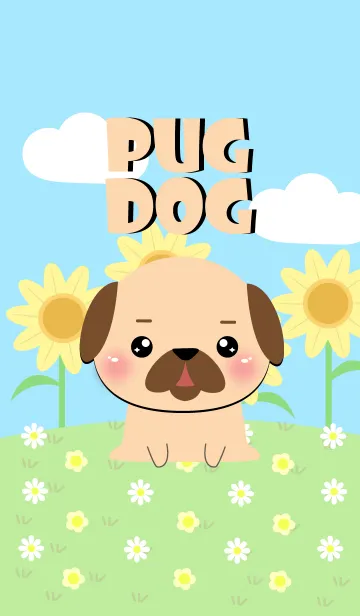 [LINE着せ替え] Pug Pug Dog Theme (jp)の画像1
