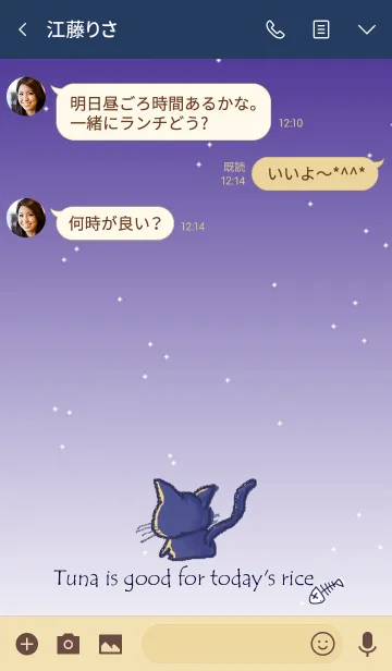 [LINE着せ替え] 夜空ノニャンコの画像3