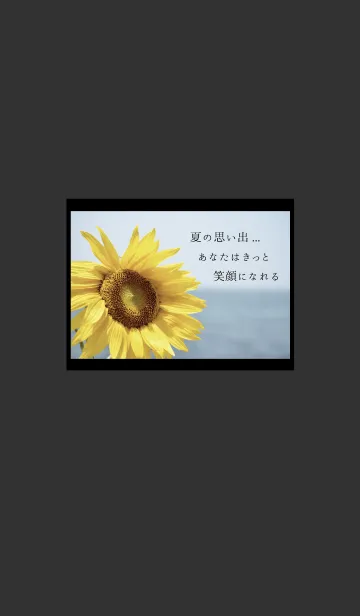 [LINE着せ替え] Sunflower 10の画像1