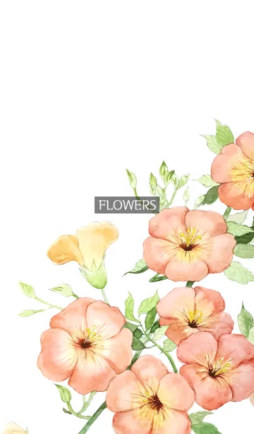 [LINE着せ替え] water color flowers_1024の画像1