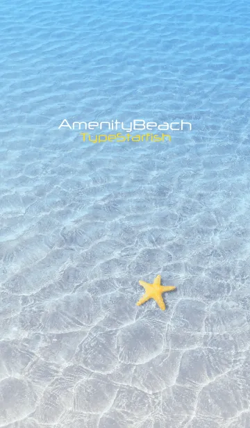 [LINE着せ替え] AmenityBeach TypeStarfishの画像1