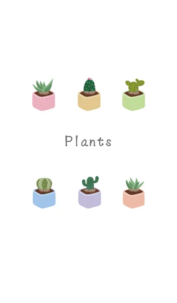 [LINE着せ替え] サボテンの植物-正方形の植木鉢の画像1