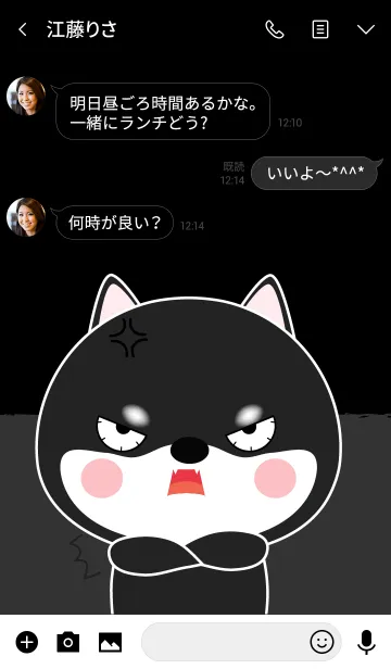 [LINE着せ替え] Angry Black Shiba Inu Theme (jp)の画像3