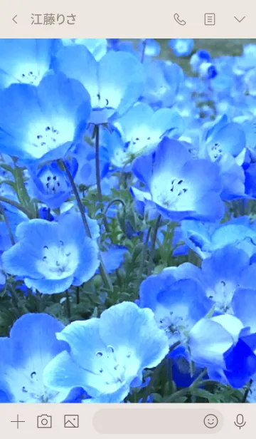[LINE着せ替え] NEMOPHILA -MEKYM- 7の画像4