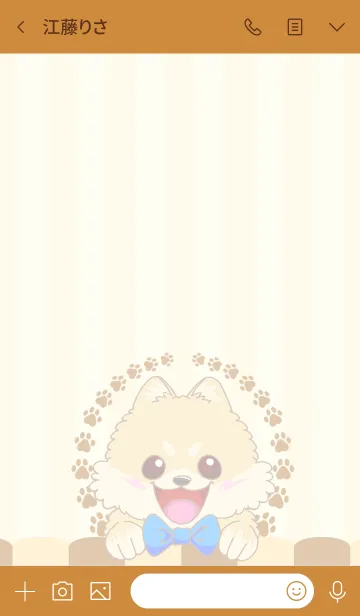 [LINE着せ替え] ポメラニアン ちろちゃんの画像4