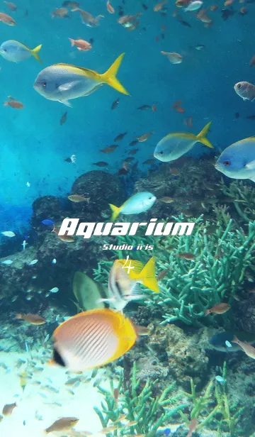[LINE着せ替え] Aquarium4の画像1