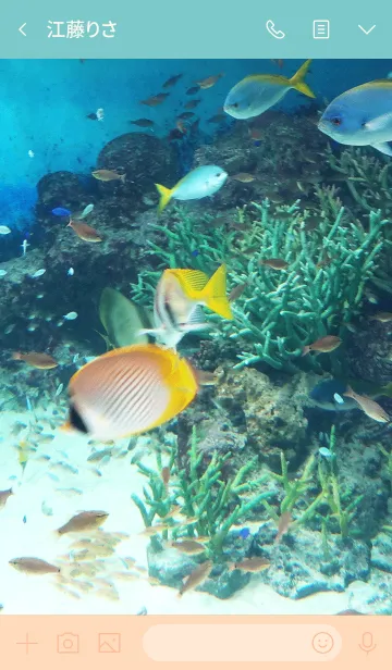 [LINE着せ替え] Aquarium4の画像4