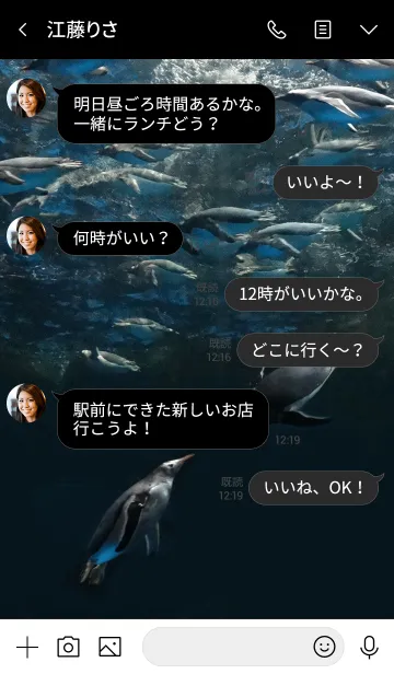 [LINE着せ替え] ペンギン Loving penguinsの画像3