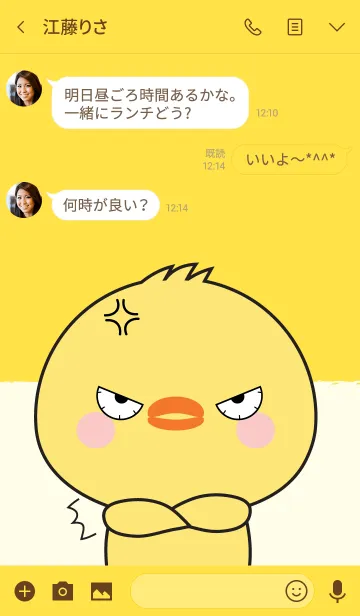 [LINE着せ替え] Angry Chick Theme (jp)の画像3