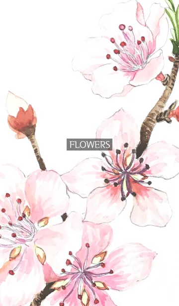 [LINE着せ替え] water color flowers_1080の画像1