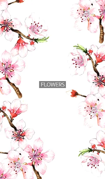 [LINE着せ替え] water color flowers_1084の画像1