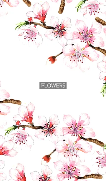 [LINE着せ替え] water color flowers_1083の画像1