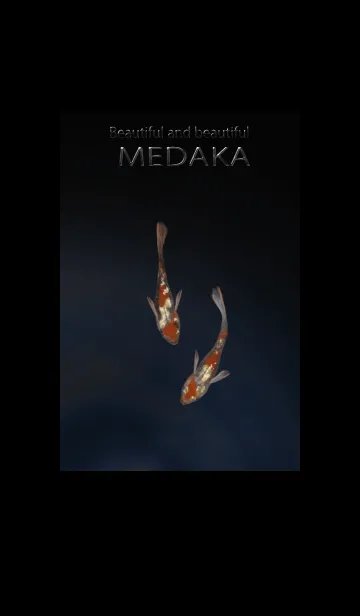 [LINE着せ替え] Beautiful and beautiful MEDAKAの画像1