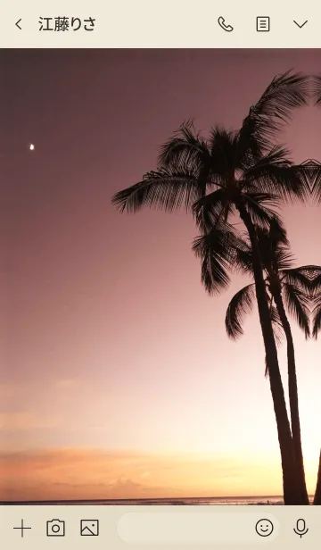 [LINE着せ替え] Beautiful sunset -ALOHA- 2の画像3
