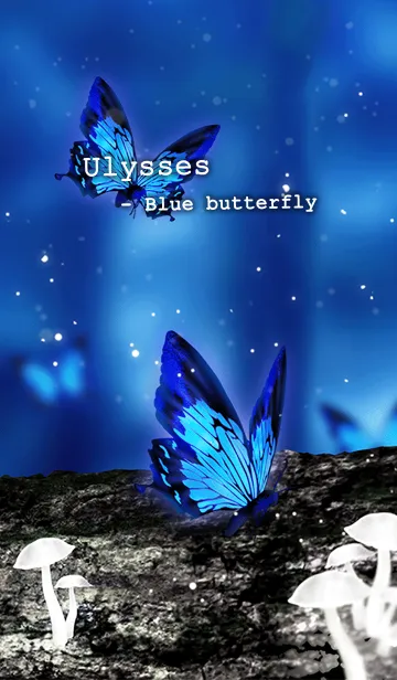 [LINE着せ替え] Ulysses - Blue butterflyの画像1
