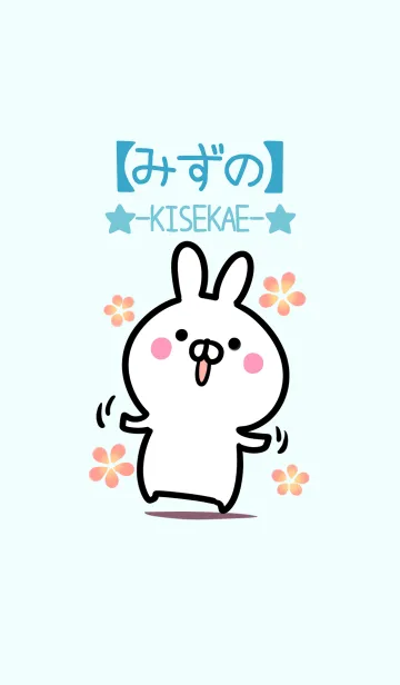 [LINE着せ替え] 【みずの】シンプルかわいいウサギの画像1