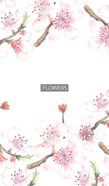 [LINE着せ替え] water color flowers_1081の画像1
