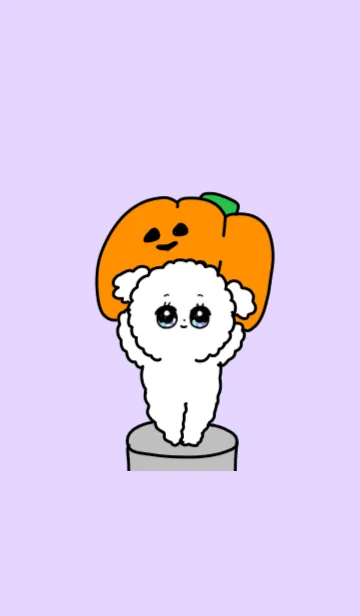 [LINE着せ替え] ハロウィン2019/かわいい毎日トイプードルの画像1