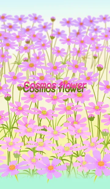 [LINE着せ替え] ＊コスモスの花＊の画像1