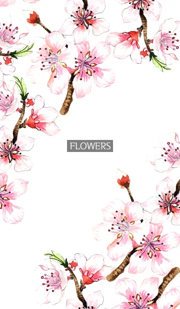 [LINE着せ替え] water color flowers_1082の画像1
