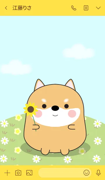 [LINE着せ替え] I'm Pretty Shiba Inu Theme (jp)の画像3