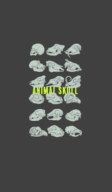 [LINE着せ替え] ANIMAL SKULL+の画像1