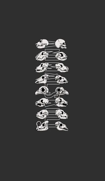 [LINE着せ替え] animal line skullの画像1