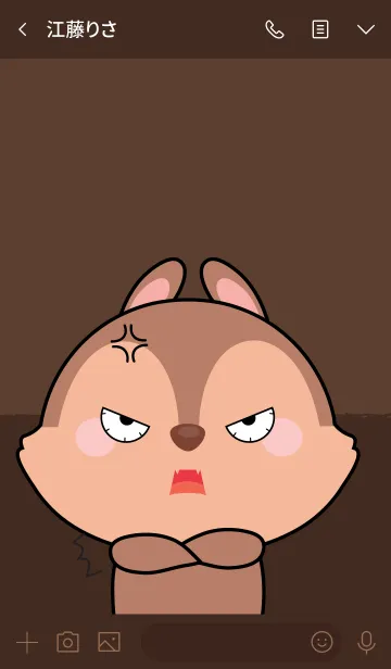 [LINE着せ替え] Angry squirrel Theme (jp)の画像3