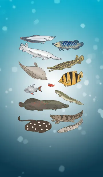 [LINE着せ替え] 夢見る水槽-古代魚と大型魚の画像1